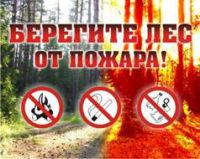 ПАМЯТКА по профилактике лесных и торфяных пожаров